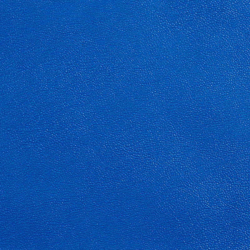 Charlotte - Allsport-Royal - Royal - Fabric by the Yard Royal
