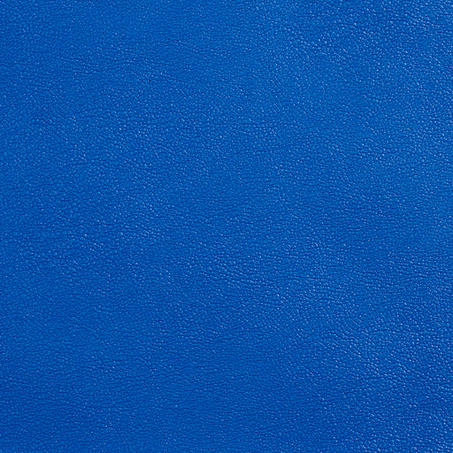 Charlotte - Allsport-Royal - Royal - Fabric by the Yard Royal
