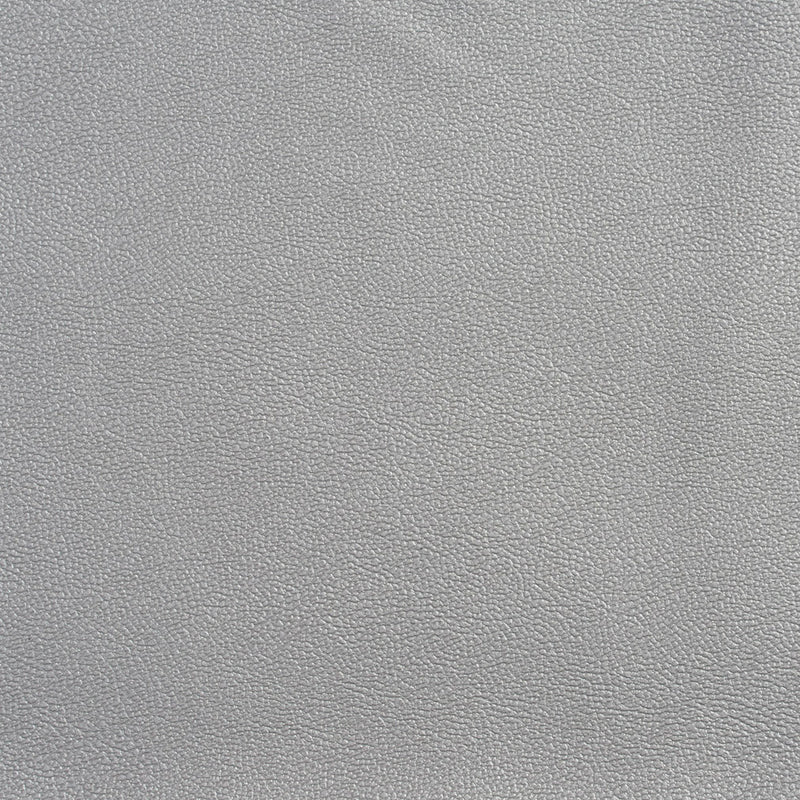 Charlotte - Allsport-SilVer - Silver - Fabric by the Yard Silver