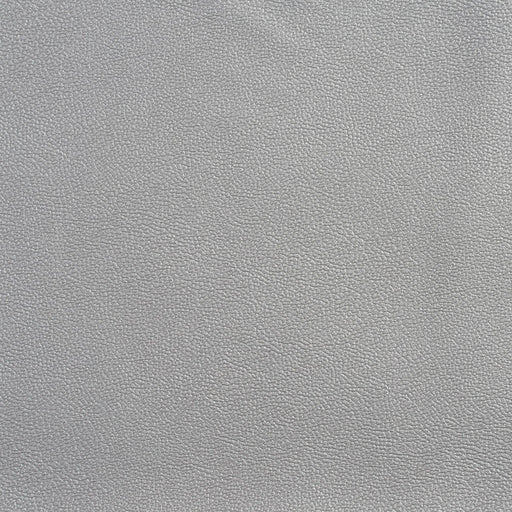 Charlotte - Allsport-SilVer - Silver - Fabric by the Yard Silver