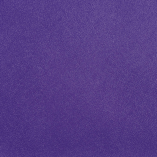 Charlotte - Allsport-Violet - Violet - Fabric by the Yard Violet