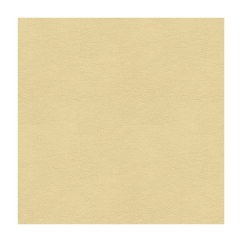 KRAVET CONTRACT - KRAVET CONTRACT- BALARA-116 - Fabric by the Yard BALARA-116