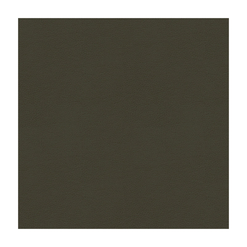 KRAVET CONTRACT - KRAVET CONTRACT- BALARA-21 - Fabric by the Yard BALARA-21
