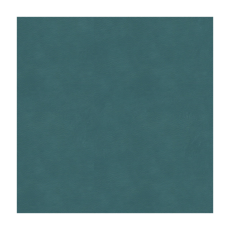 KRAVET CONTRACT - KRAVET CONTRACT- BALARA-5 - Fabric by the Yard BALARA-5