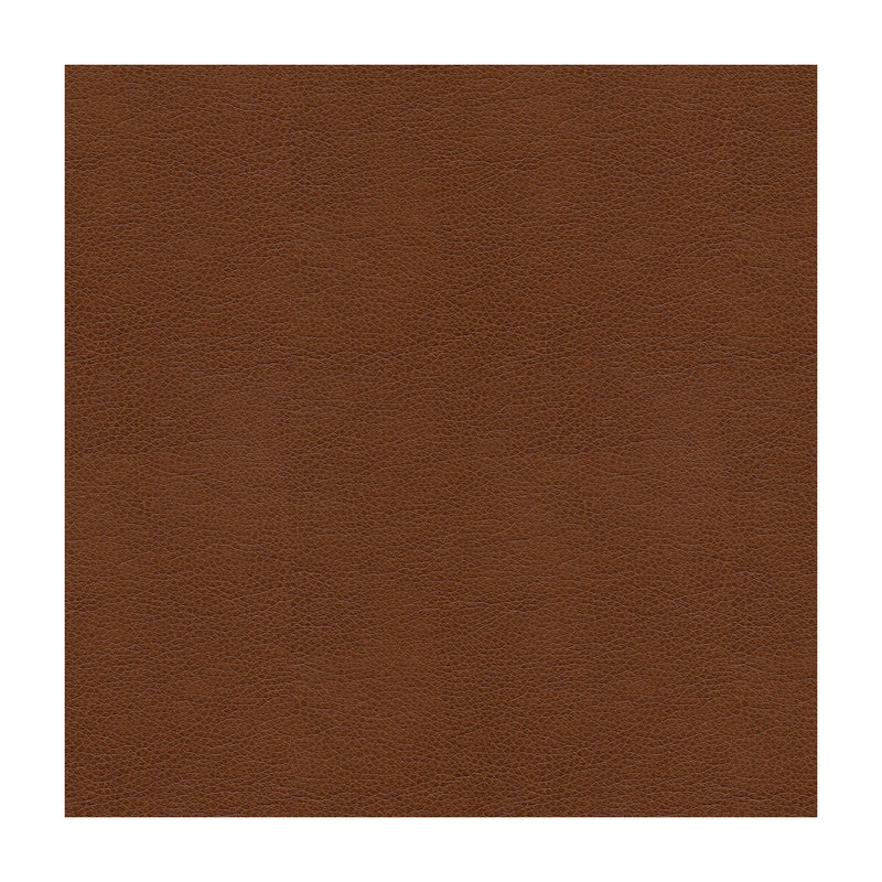 KRAVET CONTRACT - KRAVET CONTRACT- BALARA-6 - Fabric by the Yard BALARA-6