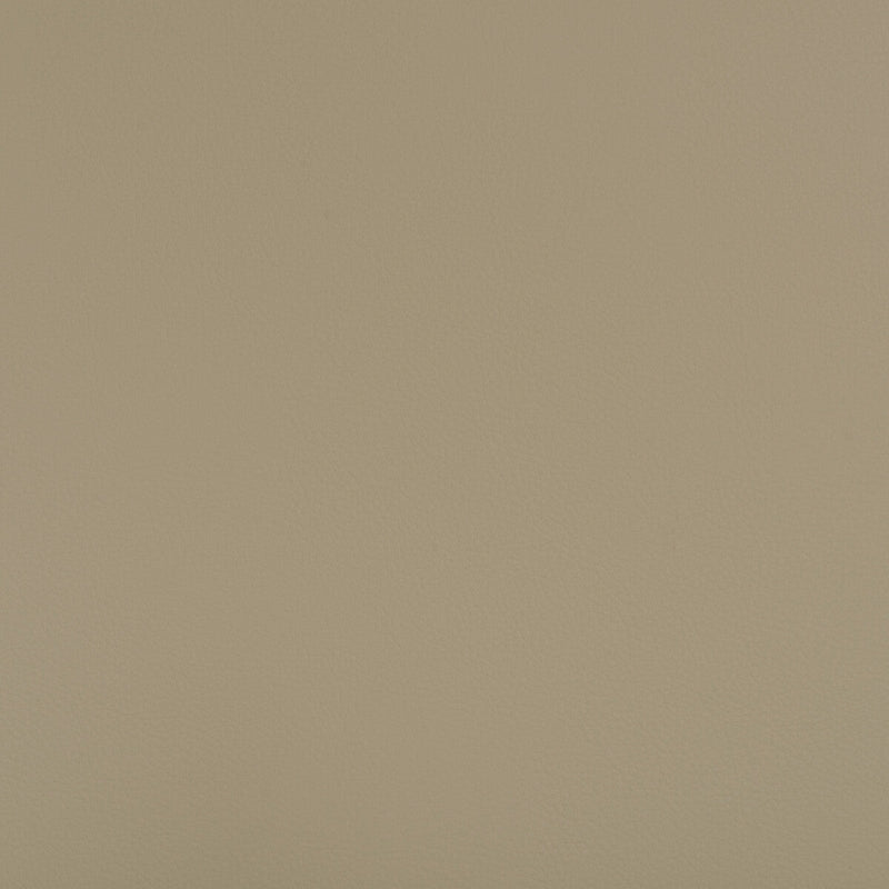 KRAVET DESIGN - KRAVET DESIGN- BEECH-106 - Fabric by the Yard BEECH-106