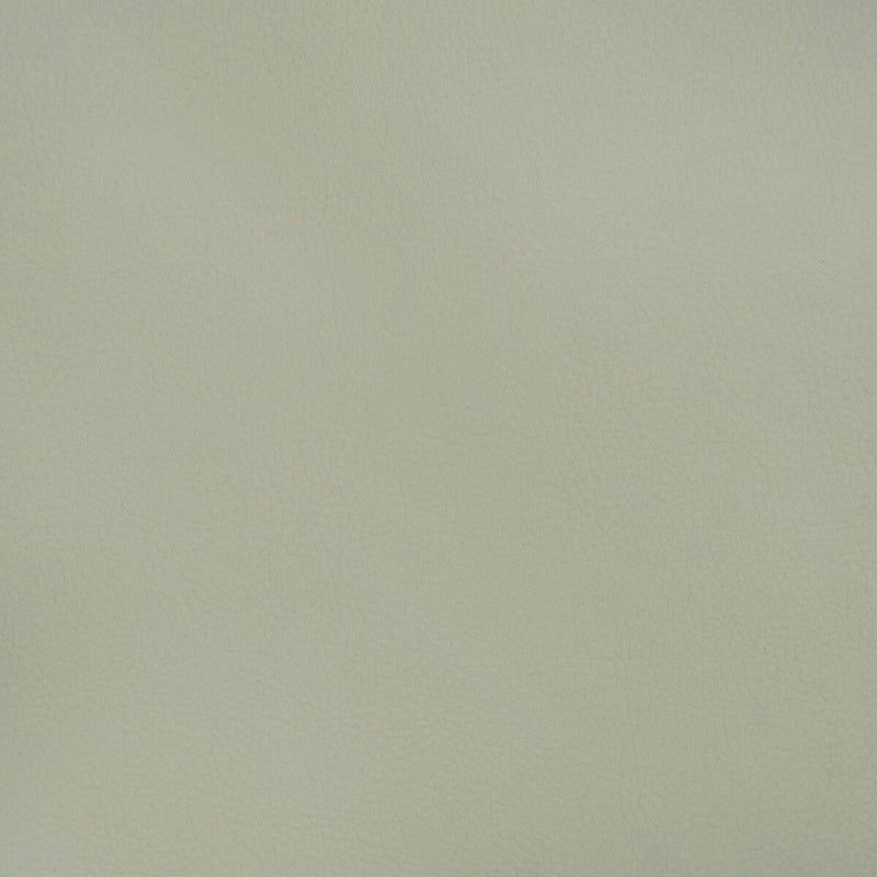 KRAVET DESIGN - KRAVET DESIGN- BEECH-1511 - Fabric by the Yard BEECH-1511