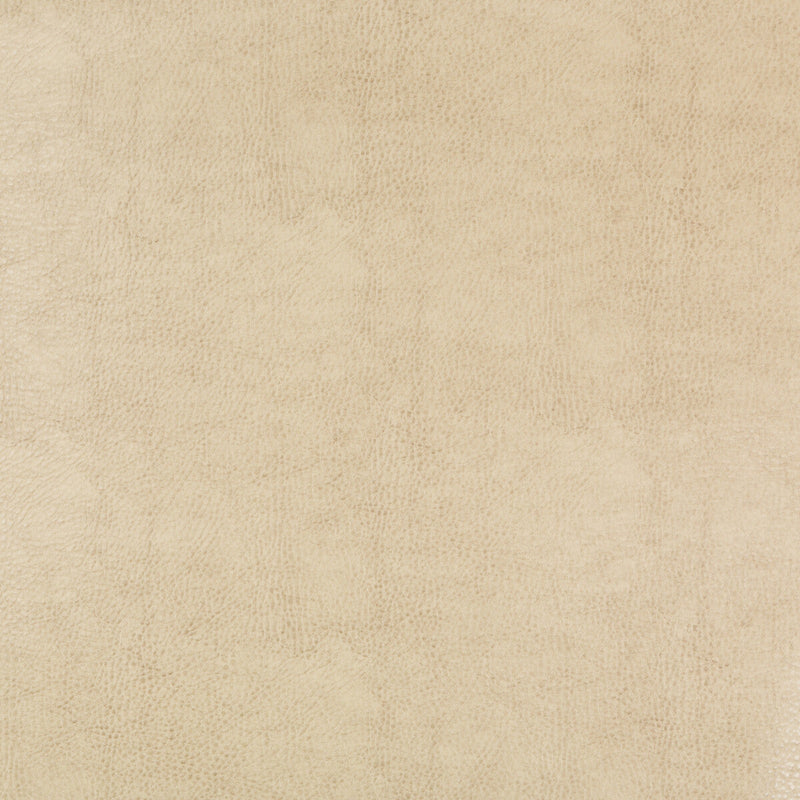 KRAVET DESIGN - KRAVET DESIGN- BEHOLDER-116 - Fabric by the Yard BEHOLDER-116