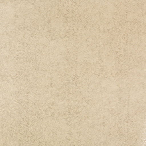 KRAVET DESIGN - KRAVET DESIGN- BEHOLDER-116 - Fabric by the Yard BEHOLDER-116