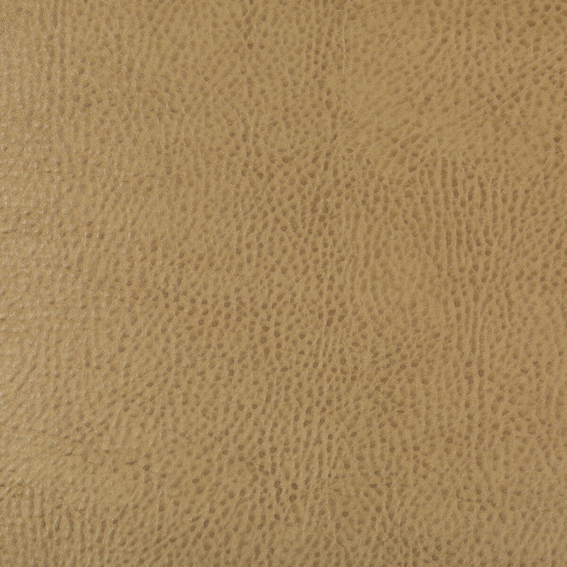 KRAVET DESIGN - KRAVET DESIGN- BEHOLDER-16 - Fabric by the Yard BEHOLDER-16