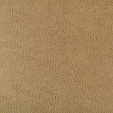 KRAVET DESIGN - KRAVET DESIGN- BEHOLDER-16 - Fabric by the Yard