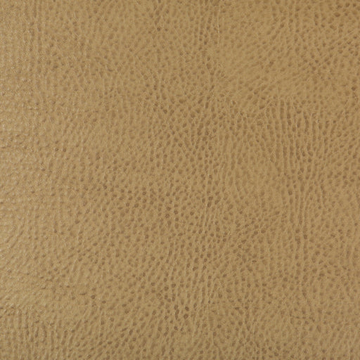 KRAVET DESIGN - KRAVET DESIGN- BEHOLDER-16 - Fabric by the Yard BEHOLDER-16