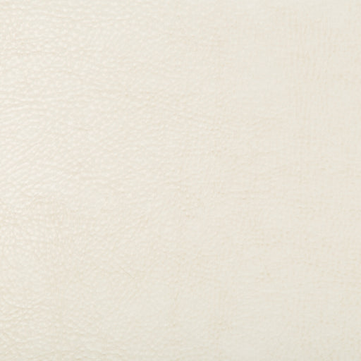 KRAVET DESIGN - BEHOLDER - Fabric By the Yard