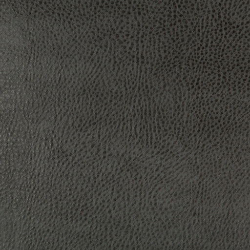 KRAVET DESIGN - KRAVET DESIGN- BEHOLDER-21 - Fabric by the Yard BEHOLDER-21