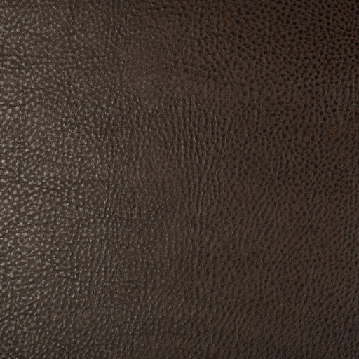 KRAVET DESIGN - KRAVET DESIGN- BEHOLDER-6 - Fabric by the Yard BEHOLDER-6
