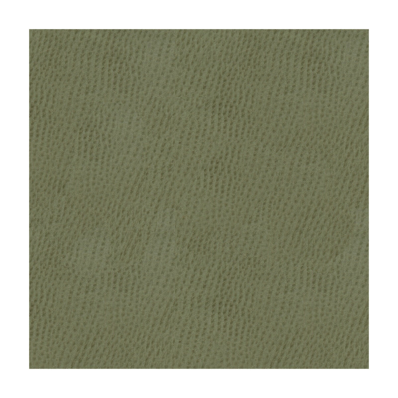 KRAVET CONTRACT - KRAVET CONTRACT- BELUS-11 - Fabric by the Yard BELUS-11