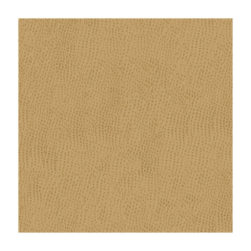 KRAVET CONTRACT - KRAVET CONTRACT- BELUS-1616 - Fabric by the Yard BELUS-1616