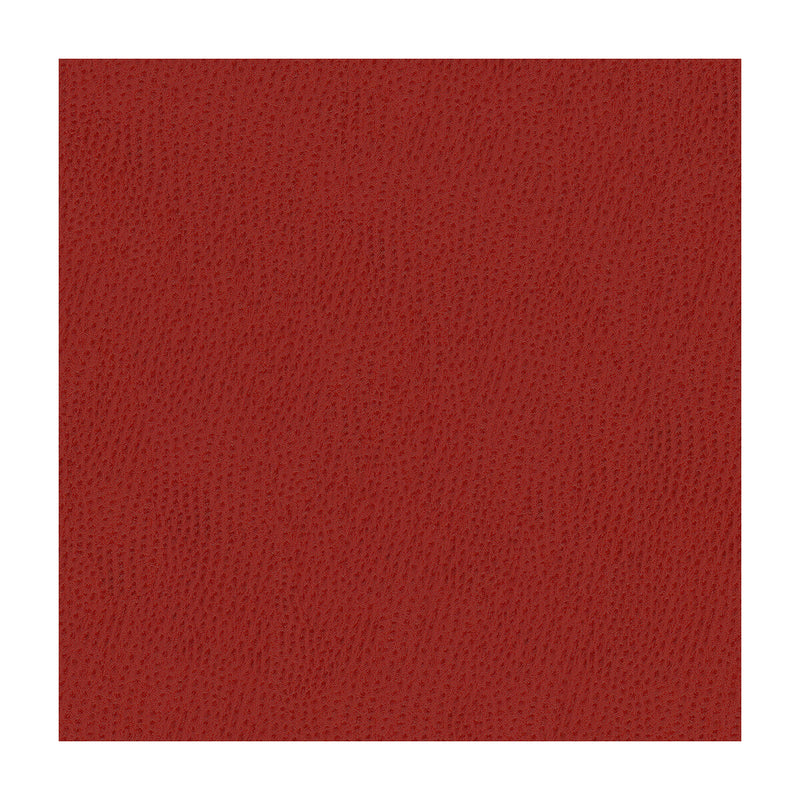 KRAVET CONTRACT - KRAVET CONTRACT- BELUS-19 - Fabric by the Yard BELUS-19