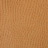 KRAVET CONTRACT - KRAVET CONTRACT- BELUS-4 - Fabric by the Yard