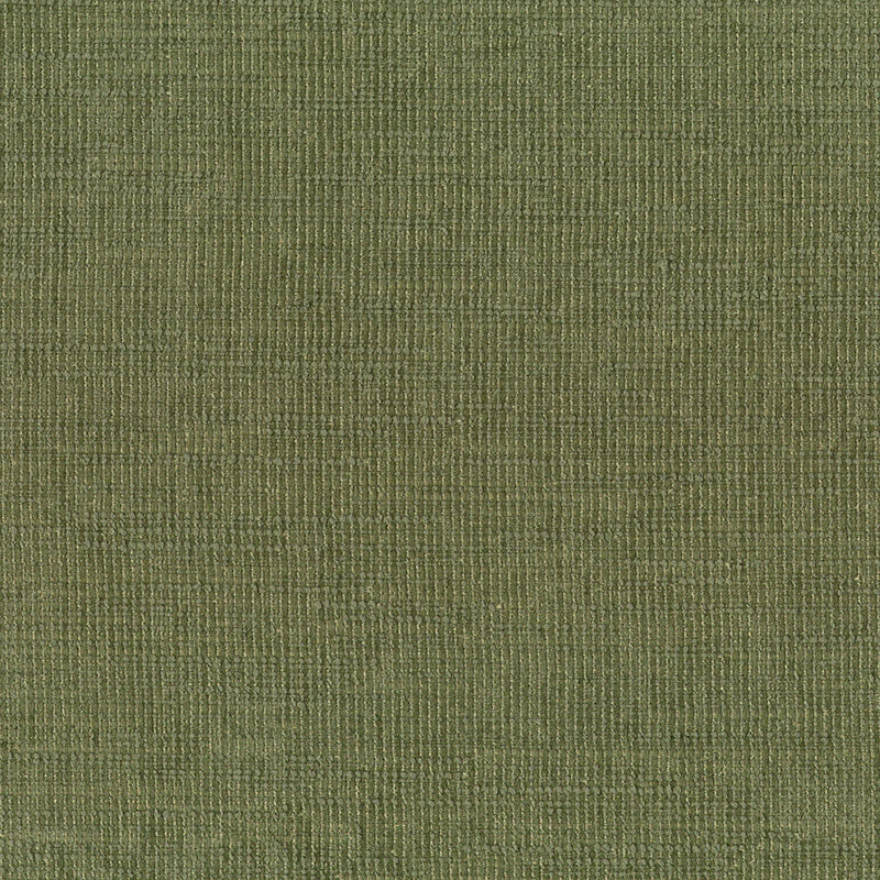 BENTON FERN