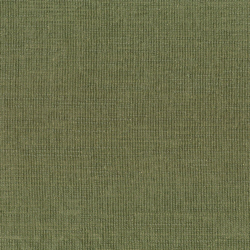 BENTON FERN