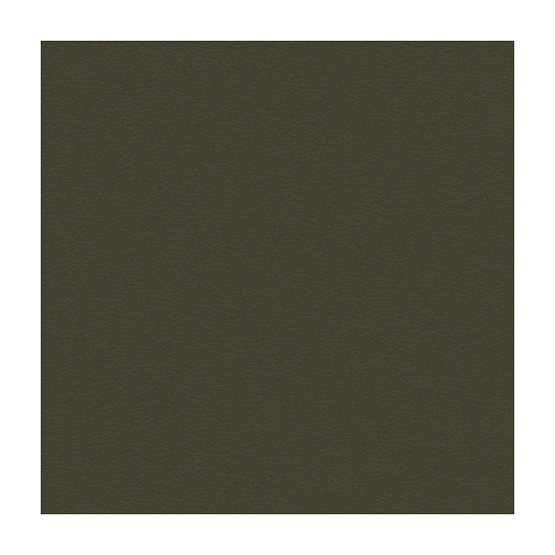 KRAVET CONTRACT - KRAVET CONTRACT- BERTA-21 - Fabric by the Yard BERTA-21