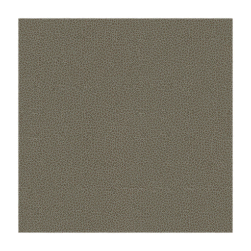KRAVET CONTRACT - KRAVET CONTRACT- BESS-11 - Fabric by the Yard BESS-11