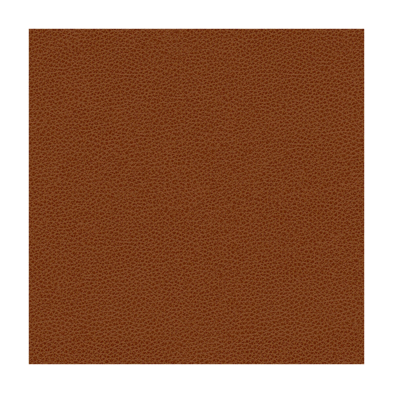 KRAVET CONTRACT - KRAVET CONTRACT- BESS-24 - Fabric by the Yard BESS-24