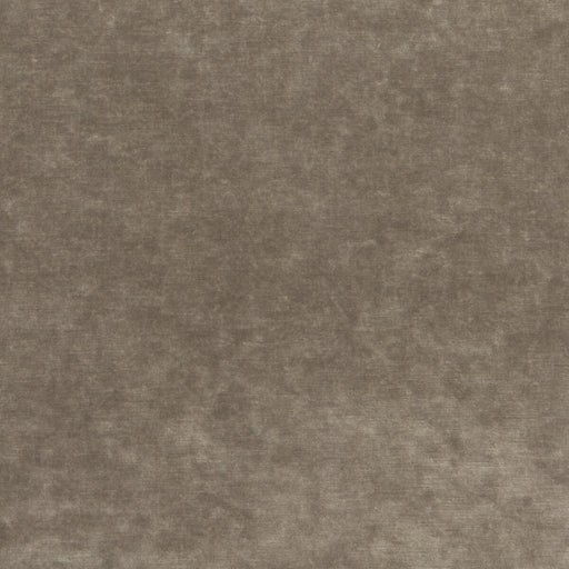 G P & J BAKER - KING'S VELVET- MINK - Fabric by the Yard MINK