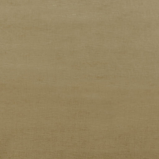 G P & J BAKER - ESSENTIAL VELVET- CAMEL - Fabric by the Yard CAMEL