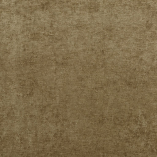 G P & J BAKER - VINTAGE VELVET- CAMEL - Fabric by the Yard CAMEL