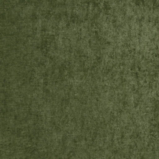 G P & J BAKER - VINTAGE VELVET- FERN - Fabric by the Yard FERN