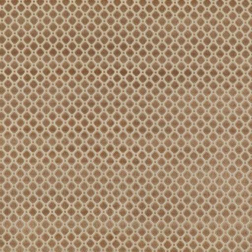 G P & J BAKER - INDUS VELVET- OYSTER - Fabric by the Yard OYSTER