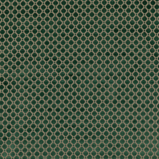 G P & J BAKER - INDUS VELVET- EMERALD - Fabric by the Yard EMERALD