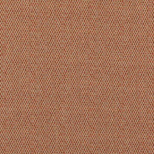 G P & J BAKER - PEDNOR- SPICE - Fabric by the Yard SPICE