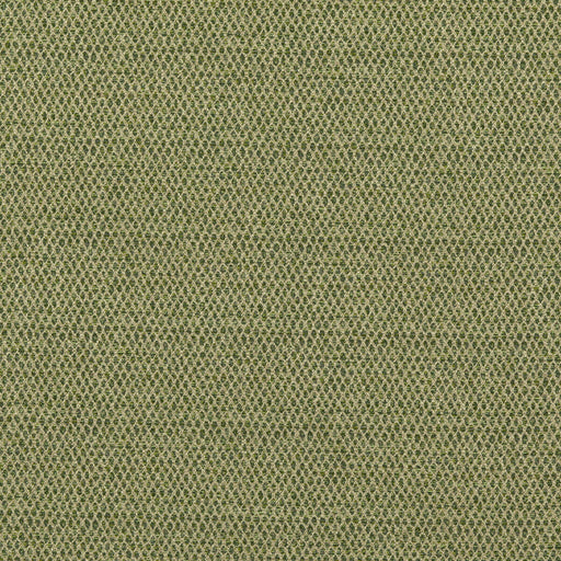 G P & J BAKER - PEDNOR- GREEN - Fabric by the Yard GREEN