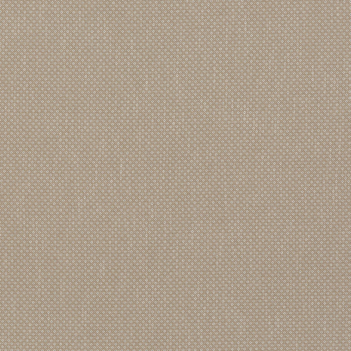 G P & J BAKER - MORLEY- SAND - Fabric by the Yard SAND