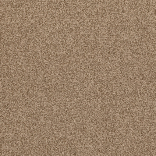 G P & J BAKER - BAKER HOUSE BOUCLE- PLASTER - Fabric by the Yard PLASTER