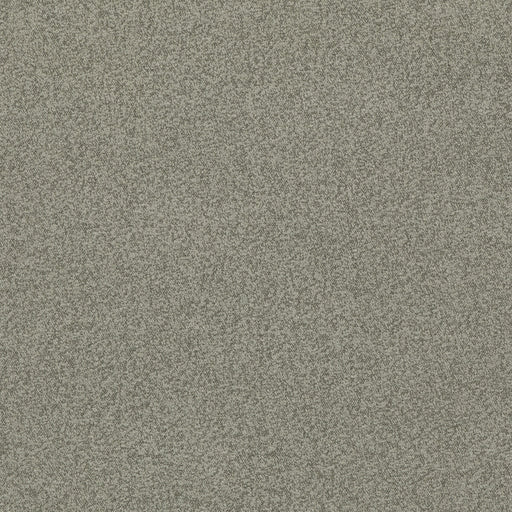 G P & J BAKER - BAKER HOUSE BOUCLE- DOVE - Fabric by the Yard DOVE