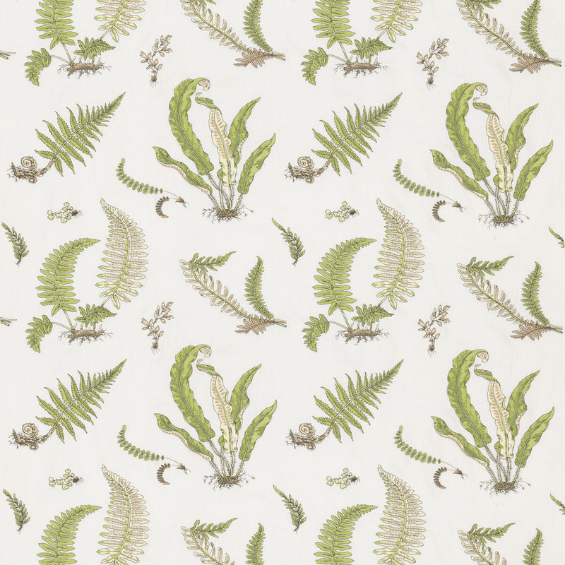 G P & J BAKER - FERNS EMBROIDERY- GREEN - Fabric by the Yard GREEN