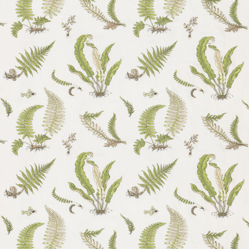 G P & J BAKER - FERNS EMBROIDERY- GREEN - Fabric by the Yard GREEN