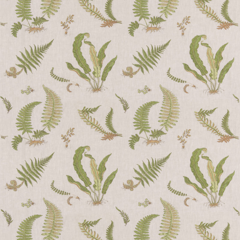 G P & J BAKER - FERNS EMBROIDERY- GREEN/NATURAL - Fabric by the Yard GREEN/NATURAL