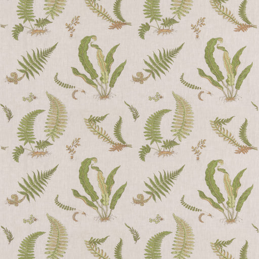 G P & J BAKER - FERNS EMBROIDERY- GREEN/NATURAL - Fabric by the Yard GREEN/NATURAL