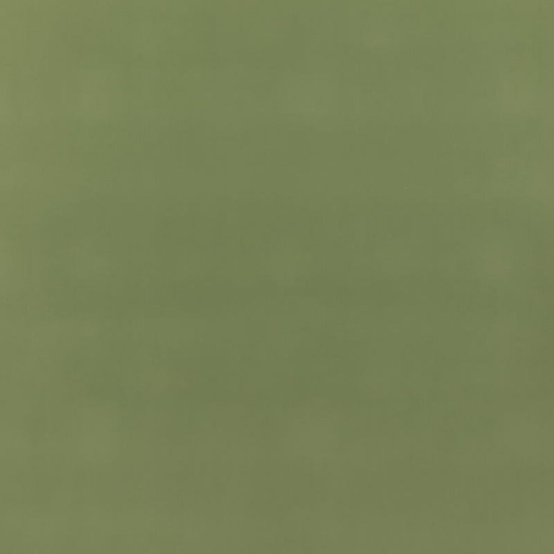 G P & J BAKER - BAKER HOUSE FR VELVET- GRASS - Fabric by the Yard GRASS