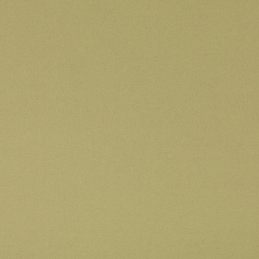 G P & J BAKER - KIT'S LINEN- GRASS - Fabric by the Yard GRASS