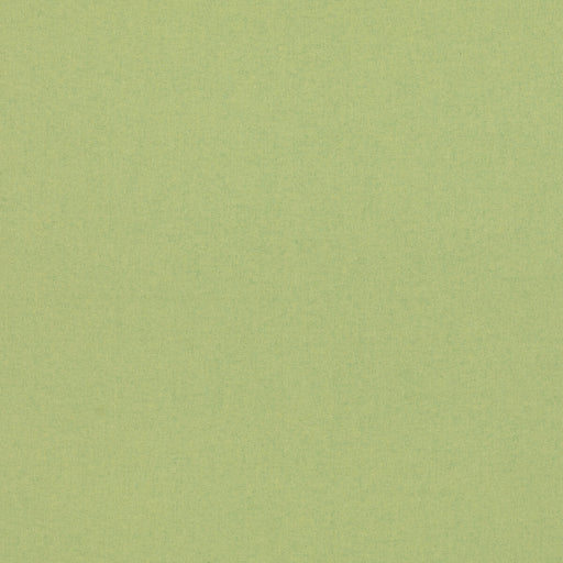 G P & J BAKER - KIT'S LINEN- SPRING GREEN - Fabric by the Yard SPRING GREEN