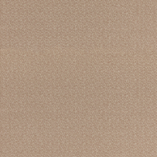 G P & J BAKER - MORTON- CORAL - Fabric by the Yard CORAL