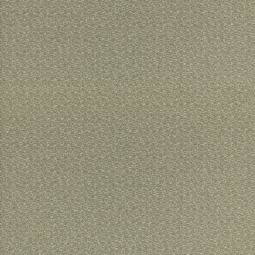 G P & J BAKER - MORTON- GREEN - Fabric by the Yard GREEN