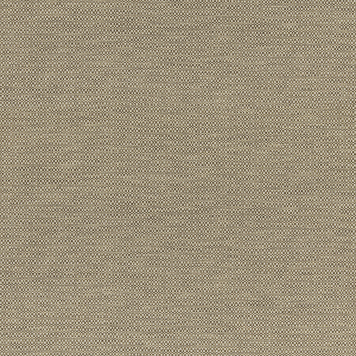G P & J BAKER - HOPTON- NUTMEG - Fabric by the Yard NUTMEG