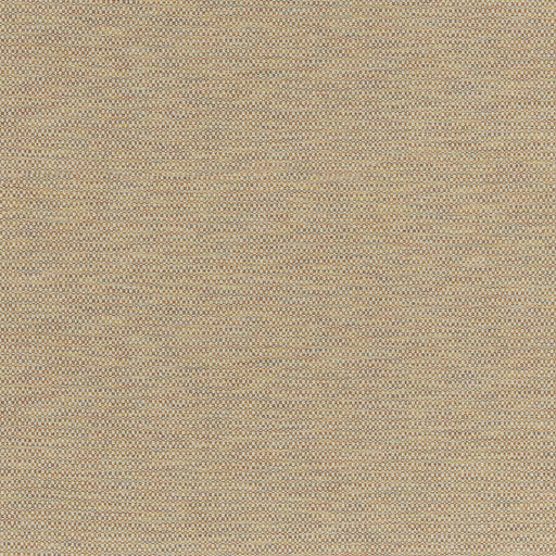 G P & J BAKER - HOPTON- CORAL - Fabric by the Yard CORAL